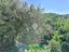 Immagine 21