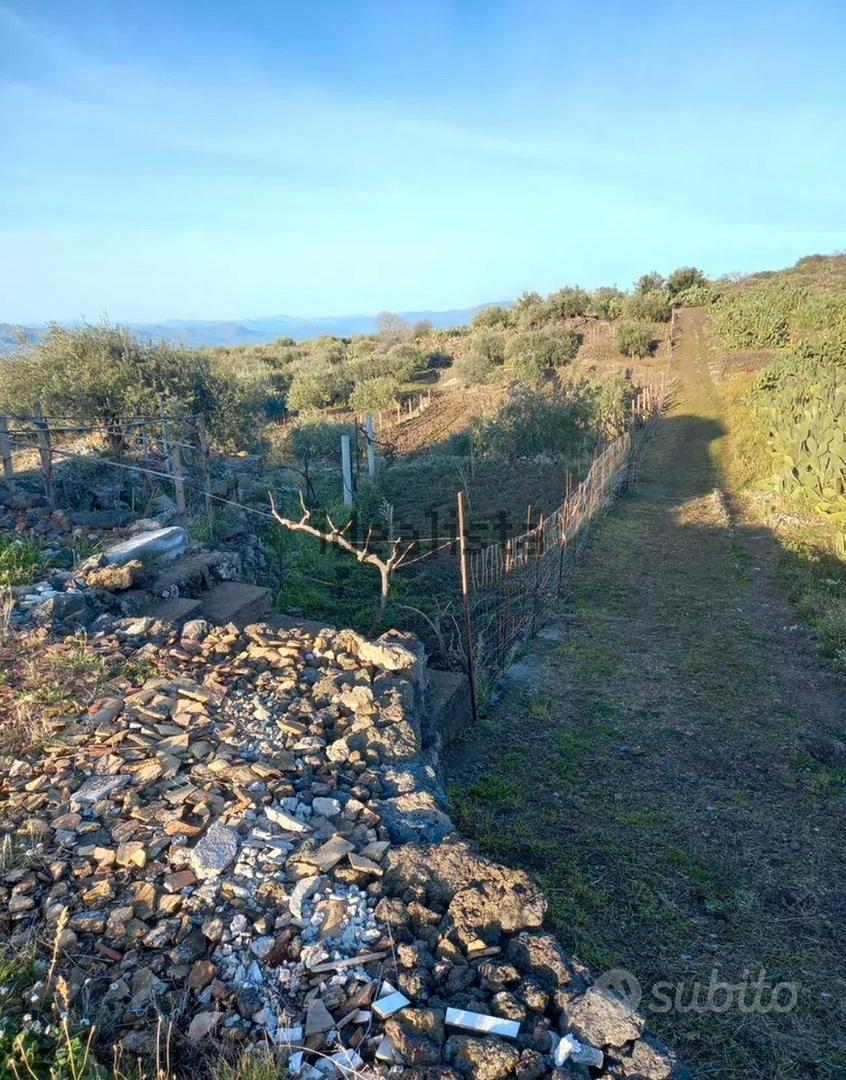 Terreno vigneto uliveto - Vista 3