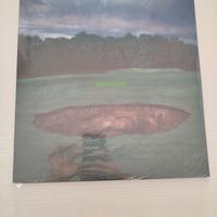 Vinile Gazzelle - Dentro 