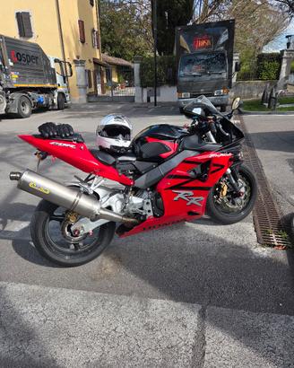 CBR 954 RR (SC50) 