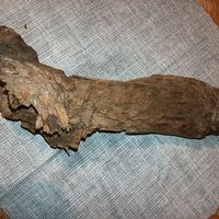 arredamento per acquario 