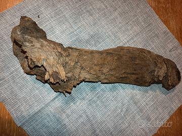 arredamento per acquario 