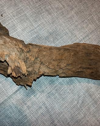 arredamento per acquario 