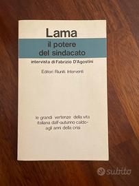Il potere del sindacato