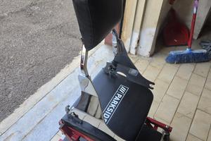 Sissybar cromato sportster