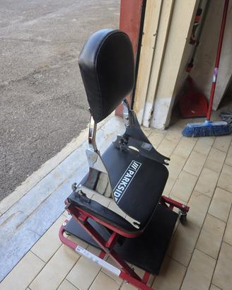 Sissybar cromato sportster