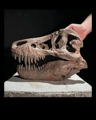 resina tirannosauro Jurassic Park 