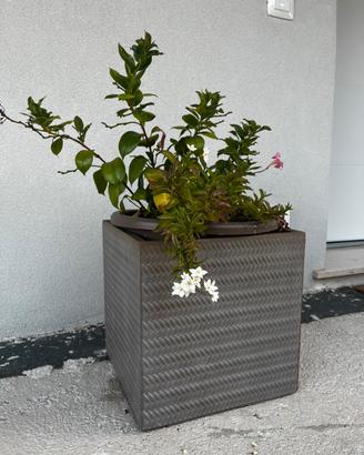 Vaso per fiori in cemento con superficie lavorata