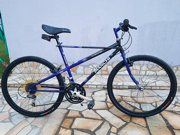 Bianchi Ragno Pholcus Vintage perfetta