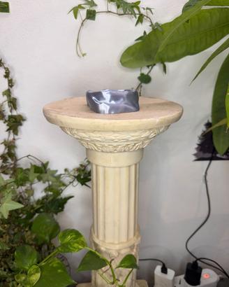 Ciotola Rettili Cibo Acqua