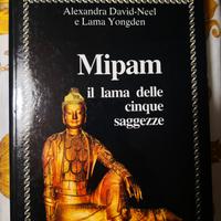 Mipam, il lama delle cinque saggezze 