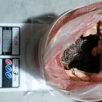 Chiodi da compensato