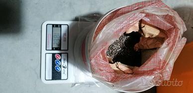 Chiodi da compensato