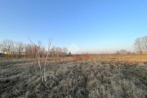 TER. RESIDENZIALE A ACQUANEGRA SUL CHIESE