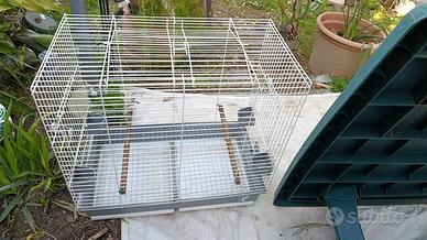 gabbia per pappagalli 