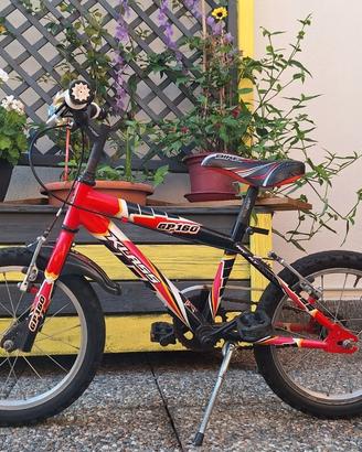 bicicletta bambino 4 anni/6 anni