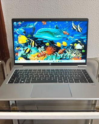NOTEBOOK HP RYZEN SERIE 5000 FULL HD W11