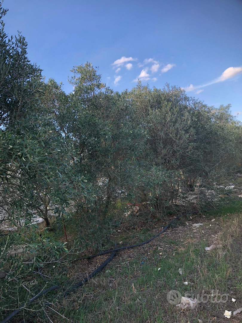 Terreno Agricolo Uta - Vista 3