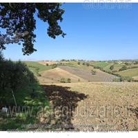 Terreno Agricolo Montefalco [A4331618]