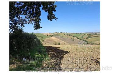 Terreno Agricolo Montefalco [A4331618]