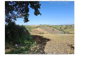 Terreno Agricolo Montefalco [A4331618]