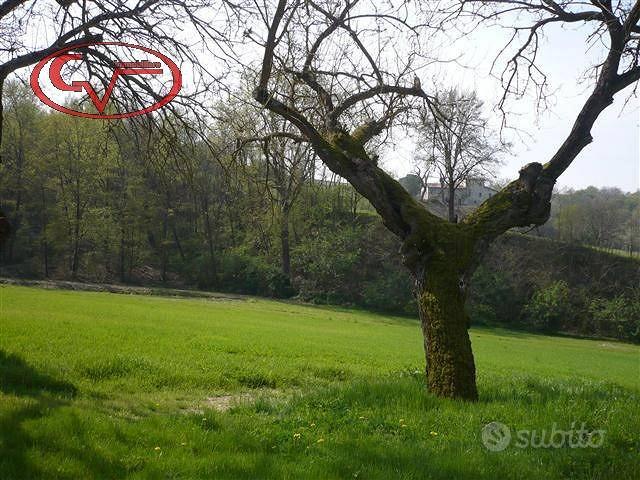 Rustico / Casale di 600 m² con più di 5 locali a S - Vista 4
