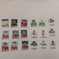 Figurine panini 1993-94