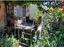 Immagine 23