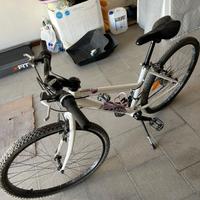 Mountain bike RockRide 300