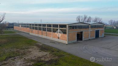 CAPANNONE A FIORENZUOLA D'ARDA