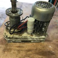 motoriduttore elettrico