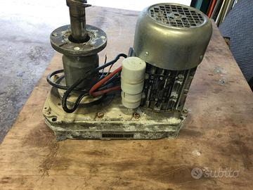 motoriduttore elettrico