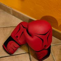 Guantoni Boxe Domyos 8oz rossi