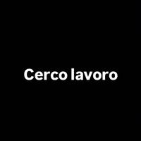 Commessa/segretaria e altro ( no call center)