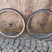 Campagnolo Shamal Ultra