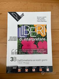 liberi di interpretare 3B