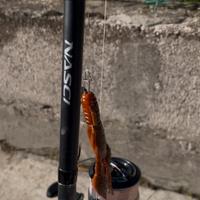 Canna e mulinello da spinning