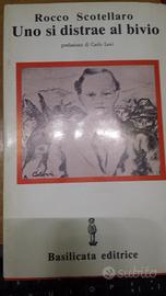 Uno si distrae al bivio