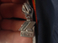 Immagine 5