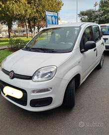 Panda 1.2 del 2016 in buono stato