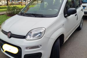 Panda 1.2 del 2016 in buono stato