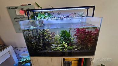 Acquario Completo