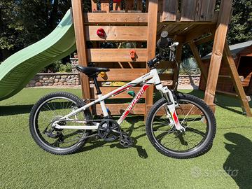 Specialized 20”