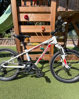 Specialized 20”
