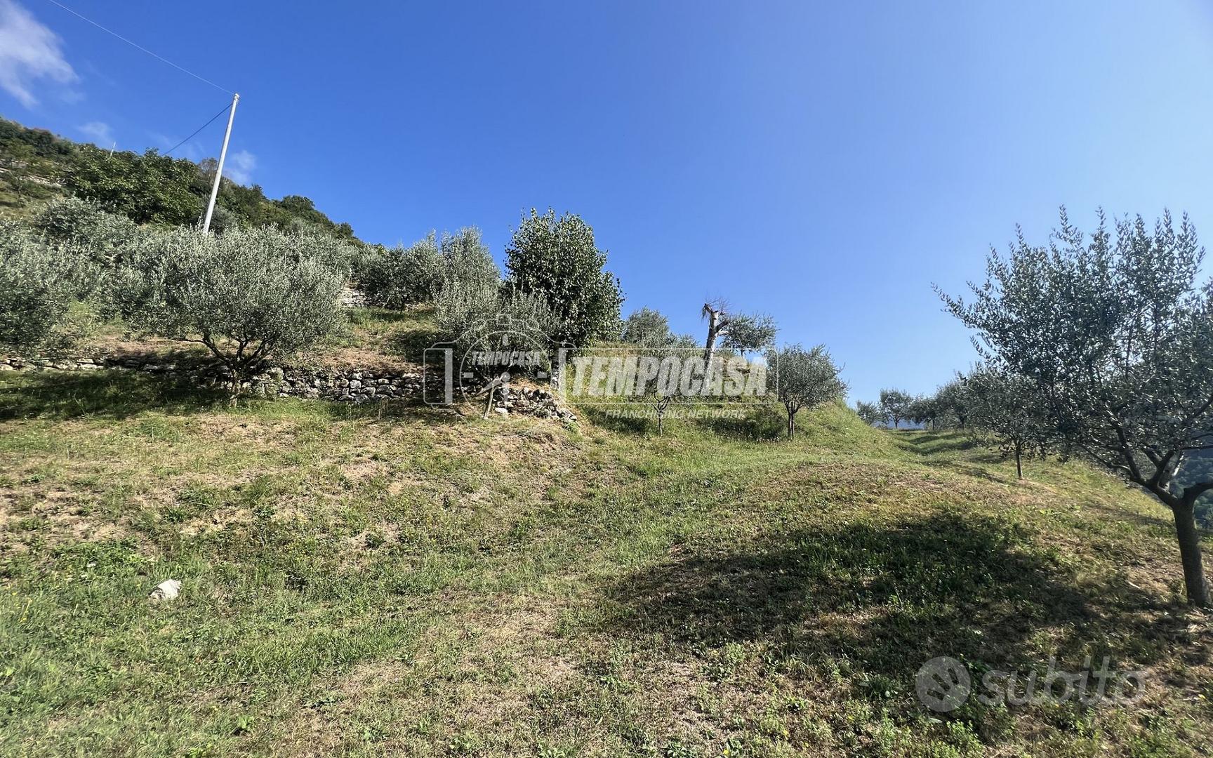 TERRENO AGRICOLO IN ZONA CENTRALE - Vista 2