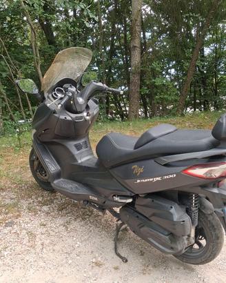 Scooter 300