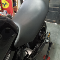 Coprisella Honda Hornet