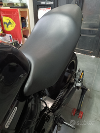 Coprisella Honda Hornet