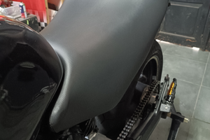 Coprisella Honda Hornet