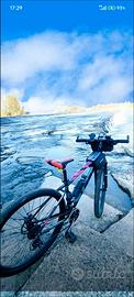 MTB zoop
